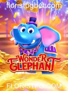 Descubra o Fascinante Mundo de WonderElephant em FLORISTPG.COM